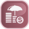 An icon showing umbrella and dollars