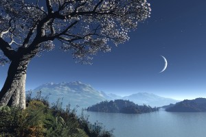 A tree on a hill overlooking a lake and moon.