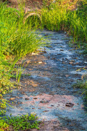 A small stream in a wooded area.