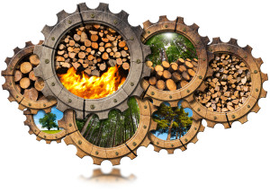 A set of gears with logs inside of them.