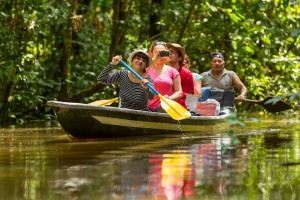 A group of people paddling in a canoe through the jungle.