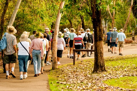 A group of people walking down a path in a park.