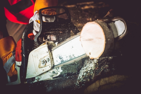 A man is cutting wood with a chainsaw.