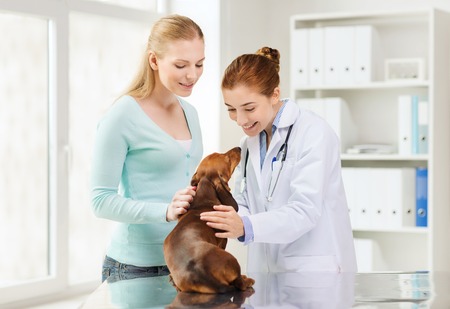 Two women are petting a dog in a vet's office.